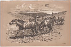 The herd exhausted